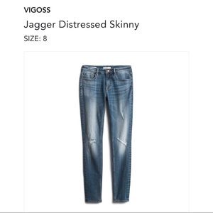 Vigoss Jagger Distressed Skinny Jean